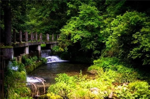 湖南一被人遺忘的國家級森林公園
