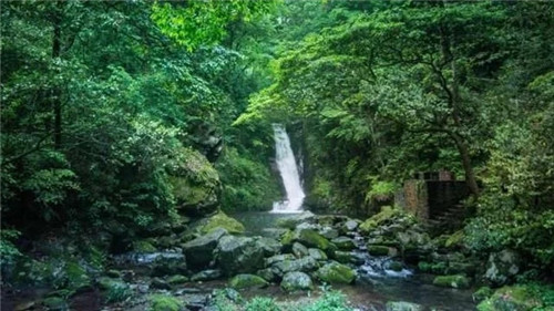 湖南一被人遺忘的國家級森林公園