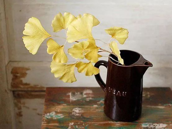 把插花藝術，融于你的生活