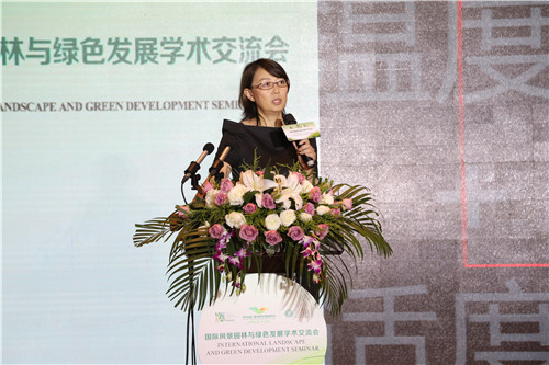 朱玲：鄉建抉擇——態度+溫度+適度