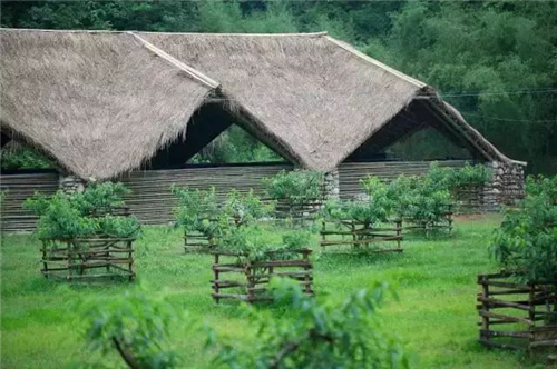 朱玲：鄉建抉擇——態度+溫度+適度