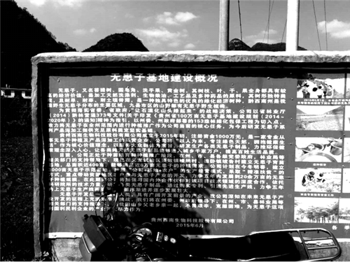 朱玲：鄉建抉擇——態度+溫度+適度