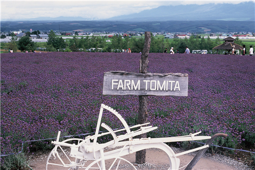 趙泰東：治愈花園