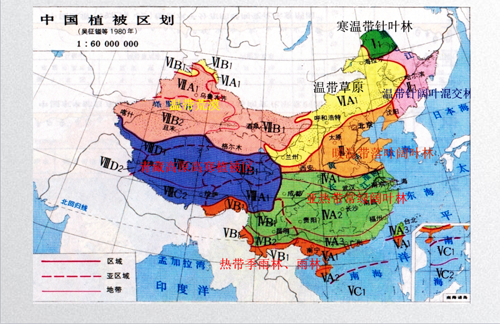 田如男：園林植物應用之思考