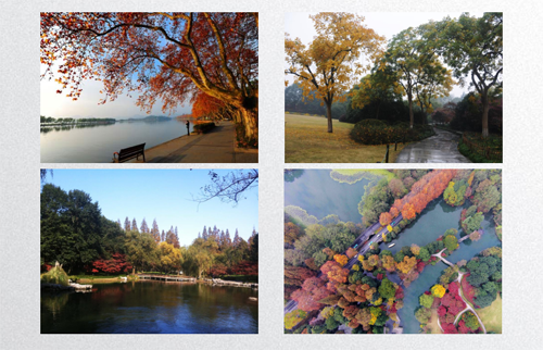 田如男：園林植物應用之思考