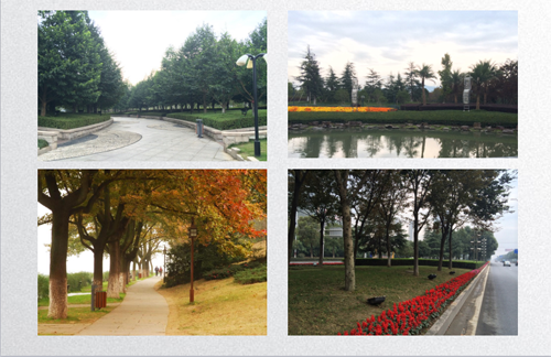 田如男：園林植物應用之思考