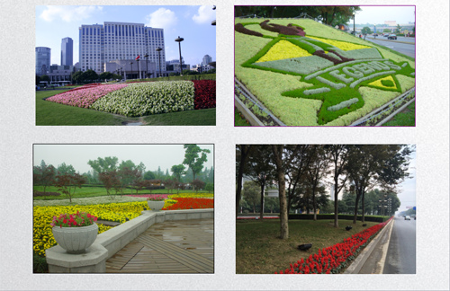 田如男：園林植物應用之思考