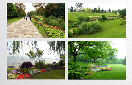 田如男：園林植物應用之思考