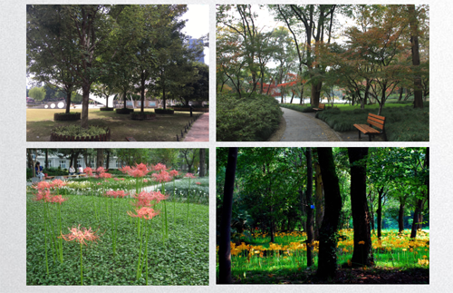 田如男：園林植物應用之思考