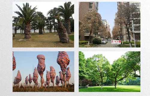 田如男：園林植物應用之思考