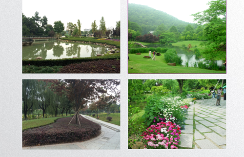 田如男：園林植物應用之思考