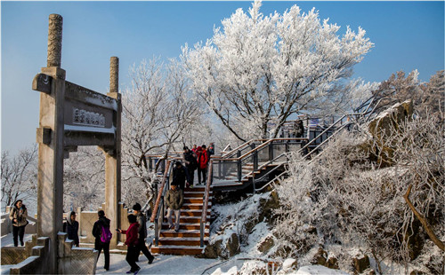 園冶杯專業(yè)獎(jiǎng)：中山陵園風(fēng)景區(qū)頭陀嶺區(qū)域環(huán)境整治工程