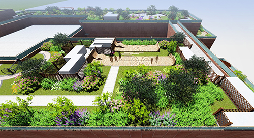 園冶杯專業獎:景山學校分校低碳屋頂花園