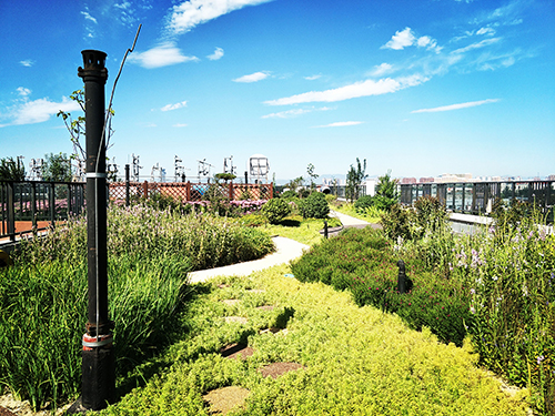 園冶杯專業獎:景山學校分校低碳屋頂花園