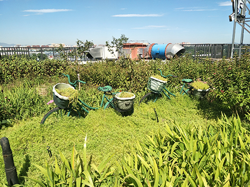 園冶杯專業獎:景山學校分校低碳屋頂花園