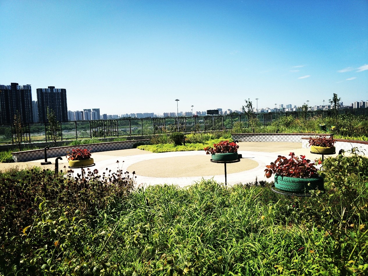 園冶杯專業獎:景山學校分校低碳屋頂花園