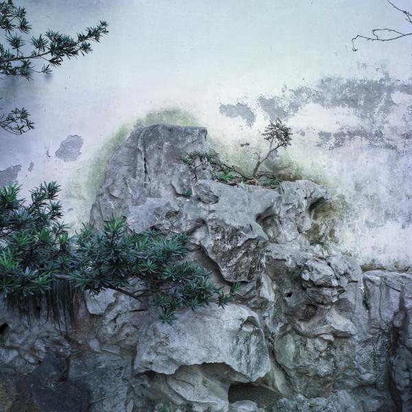 同濟大學紀念古建園林專家陳從周誕辰百年