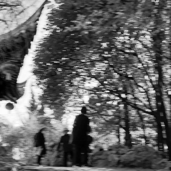 同濟大學紀念古建園林專家陳從周誕辰百年