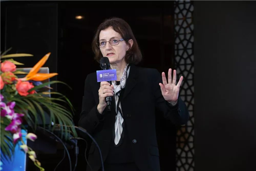 人水和諧水城相融，中外專家交流海綿城市建設發展經驗