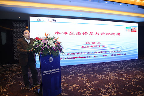 人水和諧水城相融，中外專家交流海綿城市建設發展經驗