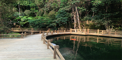 陳俊霄：大象無(wú)形 隱于山水間 格物致知 泰心以證道