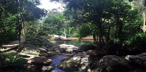 陳俊霄：大象無(wú)形 隱于山水間 格物致知 泰心以證道