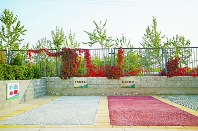 從廢到寶，建筑垃圾變身之旅