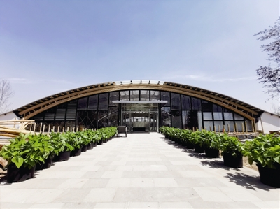 竹之眼　科學與藝術完美融合