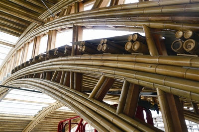 竹之眼　科學與藝術完美融合