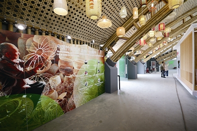 竹之眼　科學與藝術完美融合