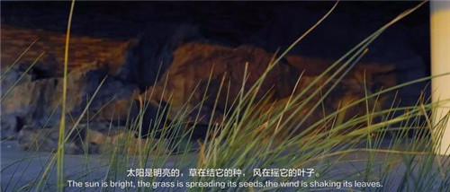 貴陽中南·春風(fēng)南岸 社區(qū)花園實(shí)踐
