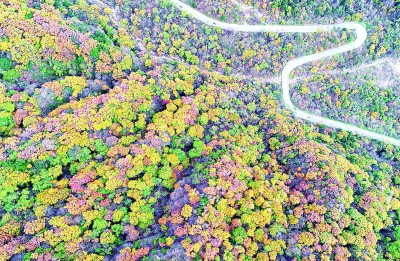 楊銳：在秦巴山脈構(gòu)建國家公園
