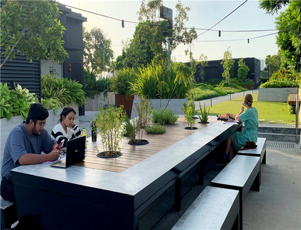 Stefaan Lambreghts：探討自然與想象之城