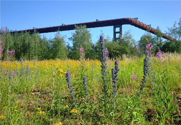 【彼得·拉茨】傾聽大師的聲音 | 工業遺產設計改造的理念與方法