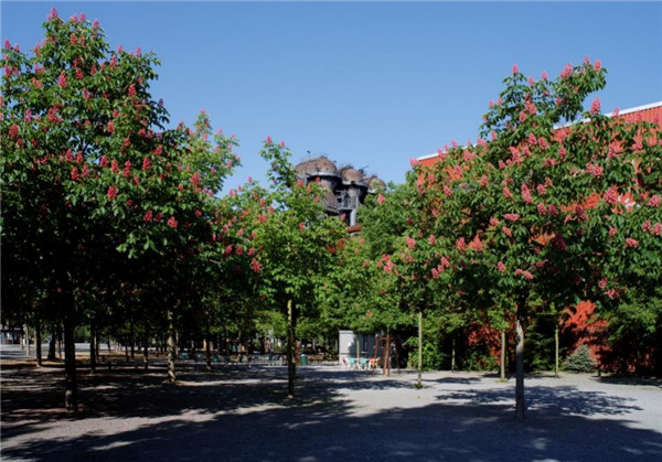 【彼得·拉茨】傾聽大師的聲音 | 工業遺產設計改造的理念與方法