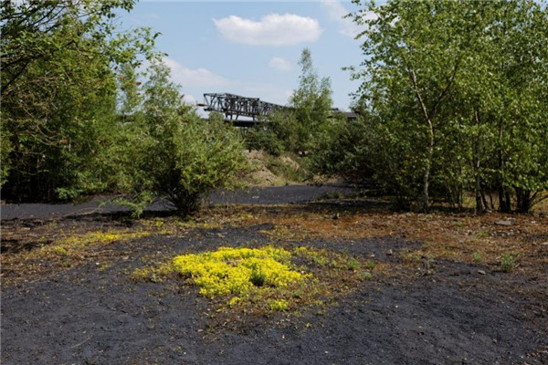 【彼得·拉茨】傾聽大師的聲音 | 工業遺產設計改造的理念與方法