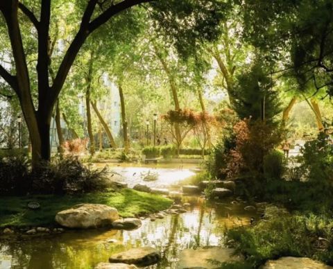 北京林業大學“林之心”景觀改造項目正式亮相