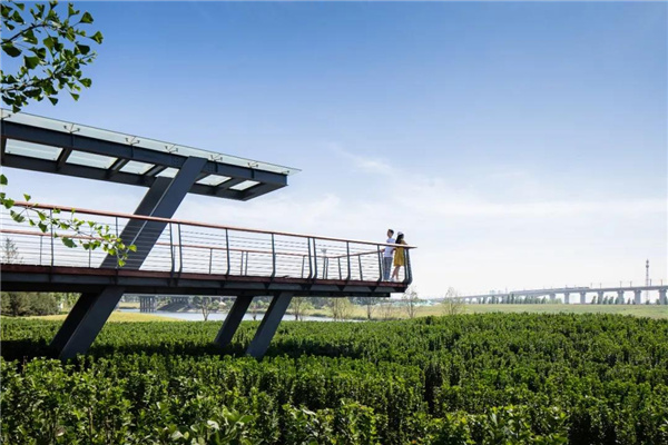 怡境景觀丨灃河濕地生態(tài)公園