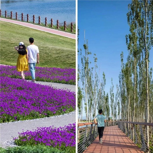 怡境景觀丨灃河濕地生態(tài)公園