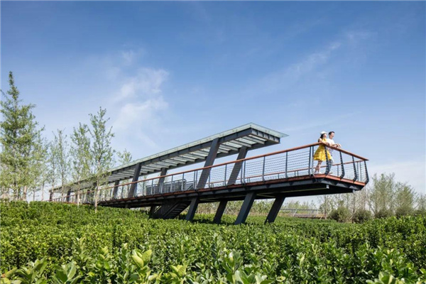 怡境景觀丨灃河濕地生態(tài)公園