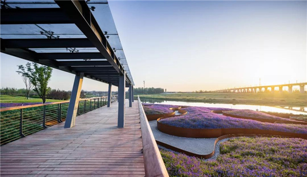 怡境景觀丨灃河濕地生態(tài)公園