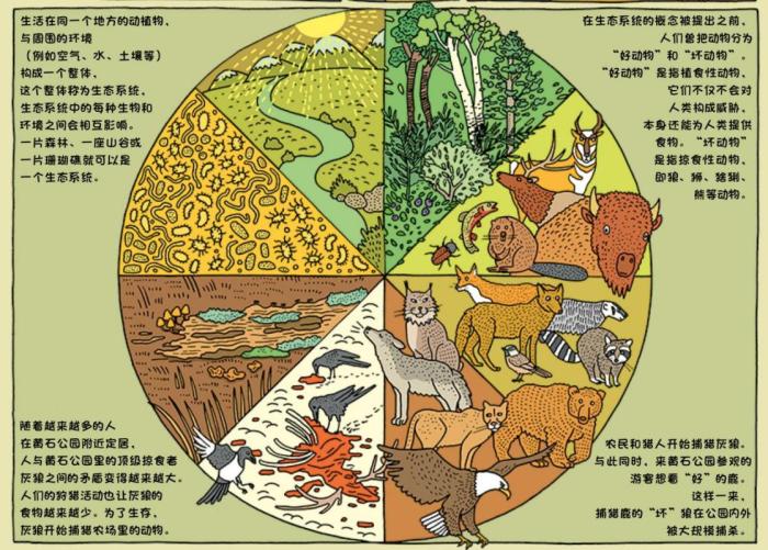 童書(shū)《世界國(guó)家公園》解鎖自然界的神奇百態(tài)