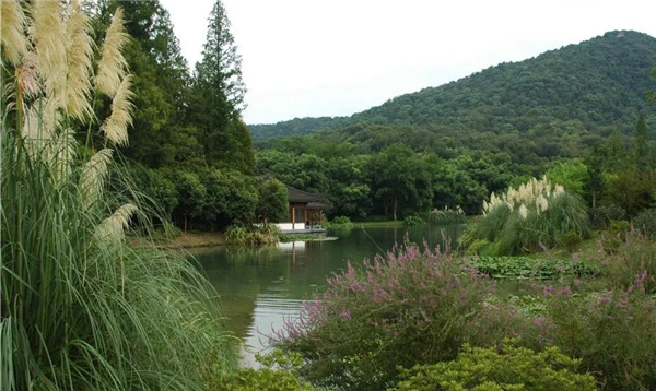 張建庭：杭州新西湖修復(fù)經(jīng)驗