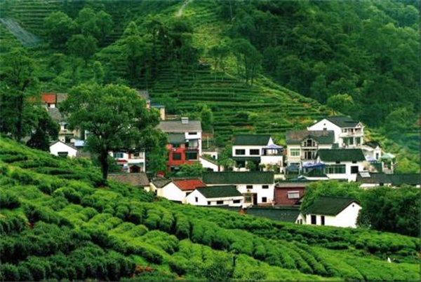 張建庭：杭州新西湖修復(fù)經(jīng)驗