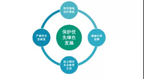 鮑達明：加強濕地保護，促進綠色發(fā)展