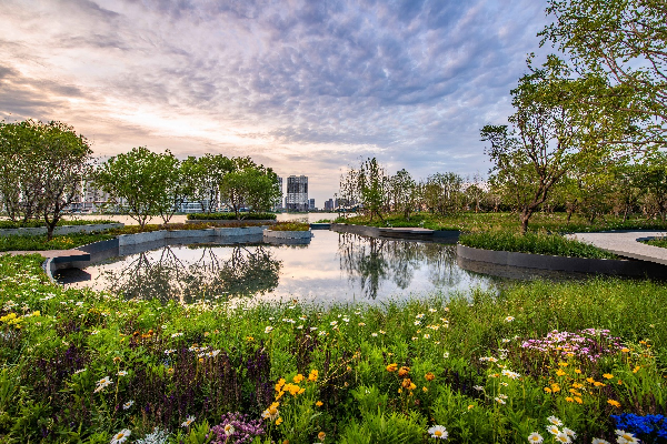 AECOM丨融創星耀五洲9號島景觀提升