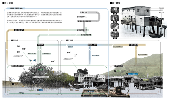 澳海興事——基于藍(lán)碳經(jīng)濟(jì)理念下的漁村產(chǎn)業(yè)轉(zhuǎn)型與生態(tài)保育綜合設(shè)計