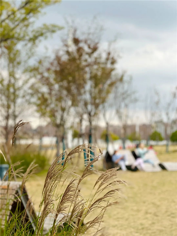 或然景觀丨上坤樾山南岸社區公園