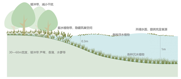 馬鑾灣新城集美片區水生態修復工程(二期)