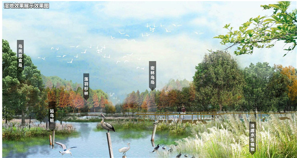 馬鑾灣新城集美片區水生態修復工程(二期)